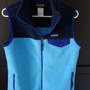 Patagonia Classic Synchilla Vest